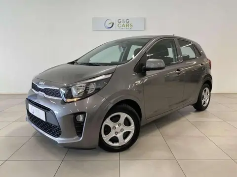 Used KIA PICANTO Petrol 2022 Ad 