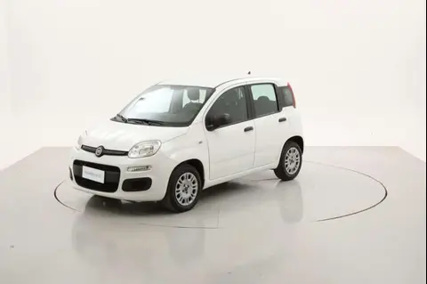 Annonce FIAT PANDA Essence 2019 d'occasion 