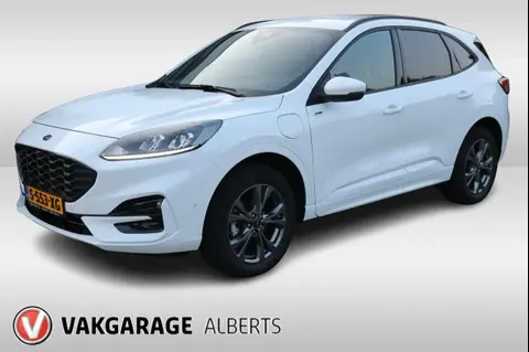 Annonce FORD KUGA Hybride 2023 d'occasion 