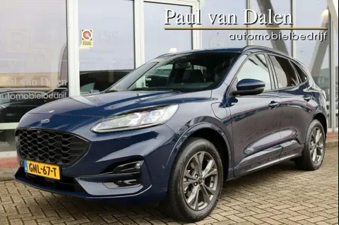 Used FORD KUGA Hybrid 2023 Ad 