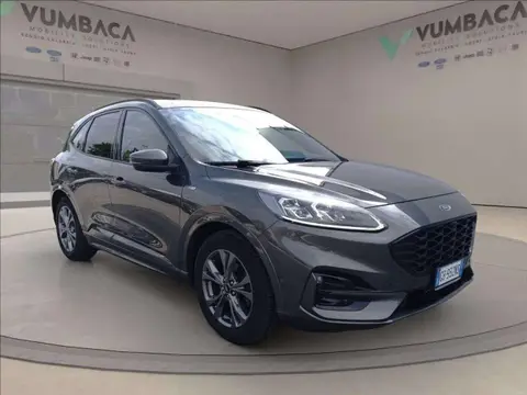 Annonce FORD KUGA Diesel 2020 d'occasion 