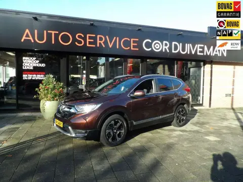 Used HONDA CR-V Petrol 2019 Ad 