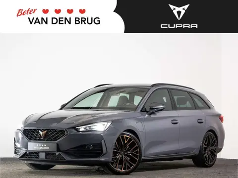 Annonce CUPRA LEON Hybride 2022 d'occasion 