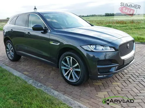 Used JAGUAR F-PACE Diesel 2018 Ad 