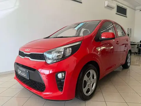 Annonce KIA PICANTO GPL 2023 d'occasion 