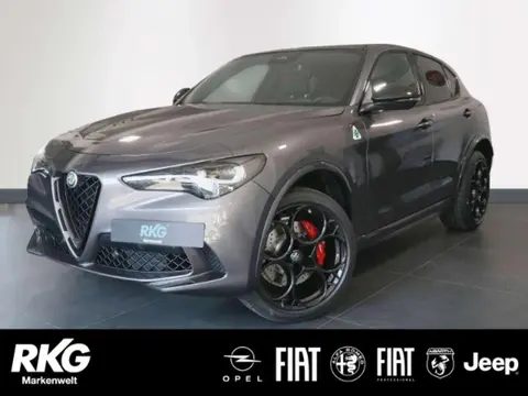 Annonce ALFA ROMEO STELVIO Essence 2024 d'occasion 