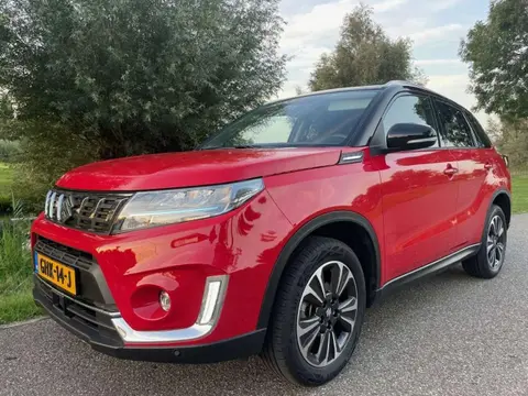 Used SUZUKI VITARA Hybrid 2023 Ad 