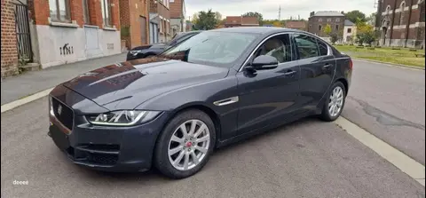 Used JAGUAR XE Petrol 2018 Ad 