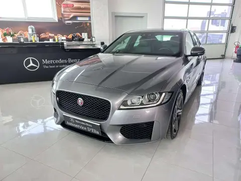 Annonce JAGUAR XF Diesel 2020 d'occasion 