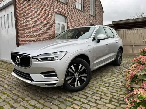 Annonce VOLVO XC60 Essence 2020 d'occasion 