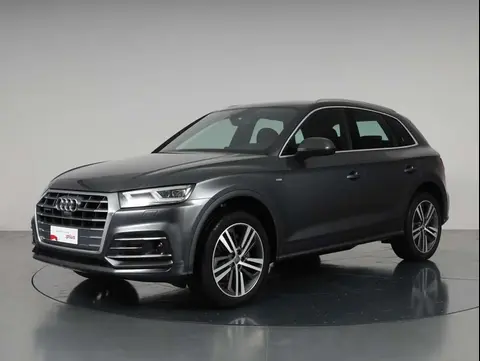 Used AUDI Q5 Diesel 2018 Ad 