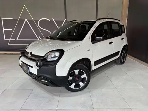 Annonce FIAT PANDA Essence 2019 d'occasion 