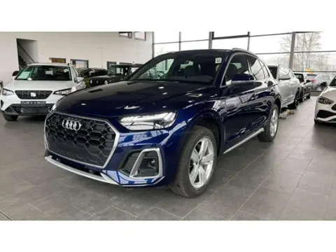 Used AUDI Q5 Diesel 2023 Ad Germany