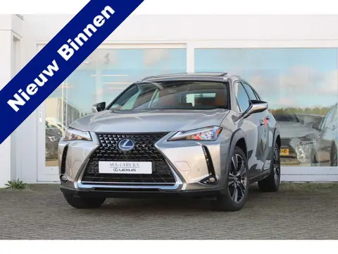 Used LEXUS UX Hybrid 2019 Ad 