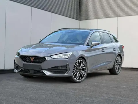 Annonce CUPRA LEON Essence 2024 d'occasion 