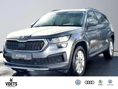 Used SKODA KODIAQ Petrol 2024 Ad 