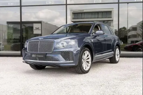 Annonce BENTLEY BENTAYGA Essence 2021 d'occasion 