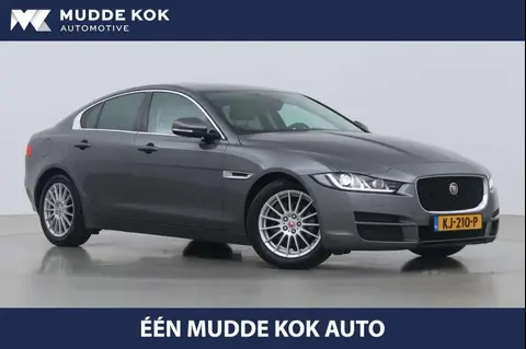 Annonce JAGUAR XE Diesel 2016 d'occasion 