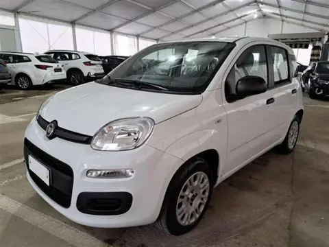 Annonce FIAT PANDA Essence 2020 d'occasion 