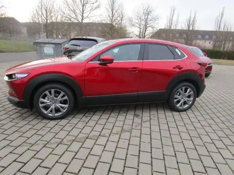 Annonce MAZDA CX-30 Hybride 2020 d'occasion 