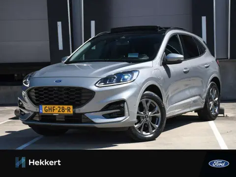 Annonce FORD KUGA Hybride 2022 d'occasion 