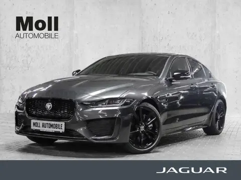 Used JAGUAR XE Petrol 2024 Ad 