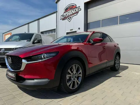 Used MAZDA CX-30 Petrol 2023 Ad 