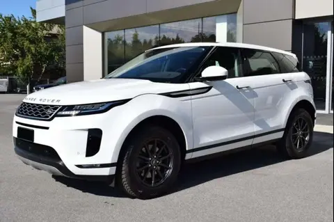 Used LAND ROVER RANGE ROVER EVOQUE Diesel 2019 Ad 