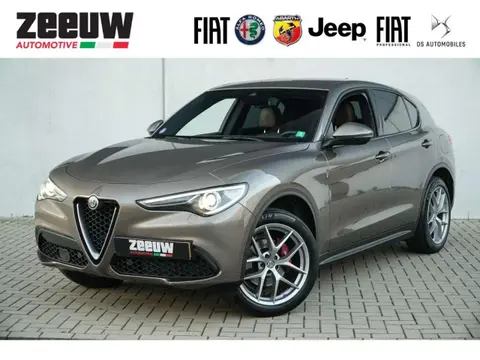 Used ALFA ROMEO STELVIO Petrol 2018 Ad 