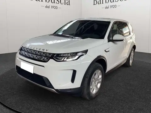 Used LAND ROVER DISCOVERY Hybrid 2021 Ad 