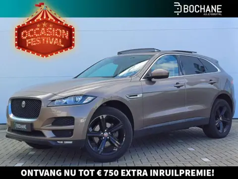 Annonce JAGUAR F-PACE Diesel 2016 d'occasion 