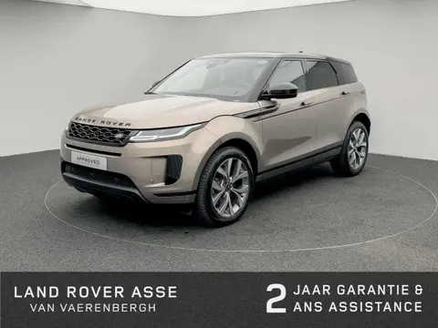 Annonce LAND ROVER RANGE ROVER EVOQUE Essence 2022 d'occasion 