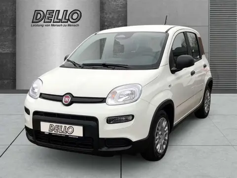 Annonce FIAT PANDA Essence 2024 d'occasion 