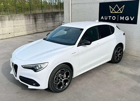 Annonce ALFA ROMEO STELVIO Diesel 2023 d'occasion 