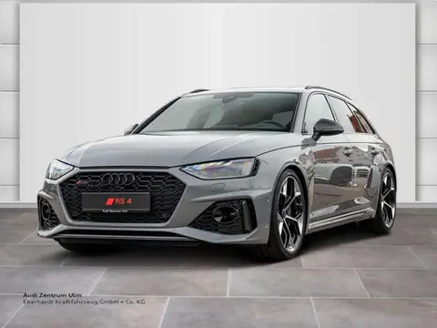 Annonce AUDI RS4 Essence 2024 d'occasion 