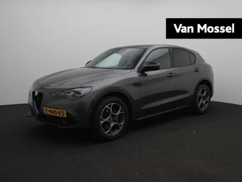 Annonce ALFA ROMEO STELVIO Essence 2023 d'occasion 