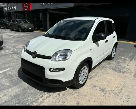 Used FIAT PANDA Hybrid 2024 Ad 