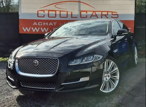 Used JAGUAR XJ Diesel 2016 Ad 