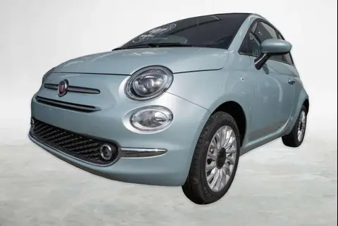 Used FIAT 500 Petrol 2023 Ad 