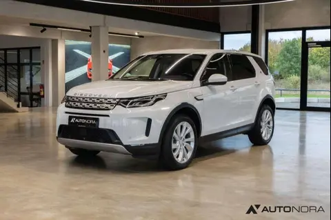 Used LAND ROVER DISCOVERY Hybrid 2021 Ad 