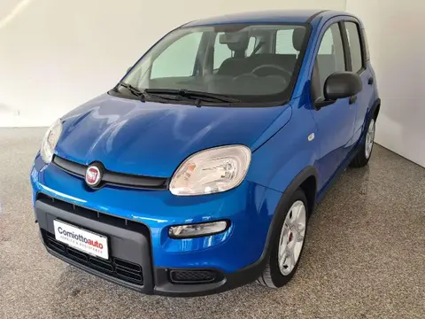 Annonce FIAT PANDA Hybride 2023 d'occasion 