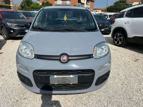 Used FIAT PANDA Hybrid 2020 Ad 