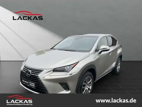 Annonce LEXUS NX Hybride 2020 d'occasion 