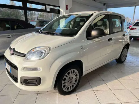 Annonce FIAT PANDA Essence 2019 d'occasion 