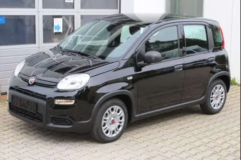 Used FIAT PANDA Petrol 2024 Ad 