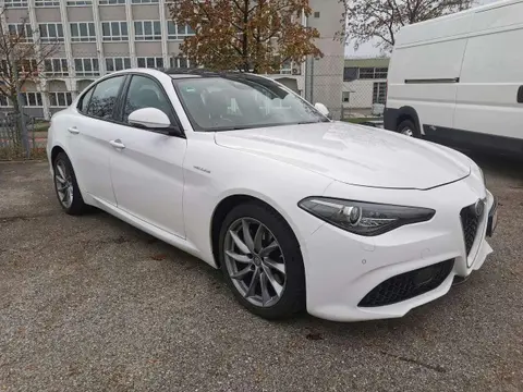 Used ALFA ROMEO GIULIA Diesel 2019 Ad 