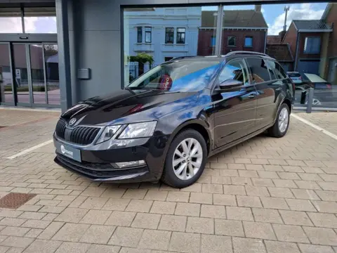 Used SKODA OCTAVIA Diesel 2020 Ad 