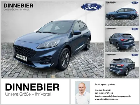 Annonce FORD KUGA Hybride 2022 d'occasion 