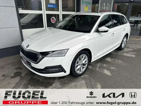 Used SKODA OCTAVIA Petrol 2020 Ad 