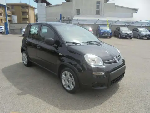 Annonce FIAT PANDA Hybride 2023 d'occasion 